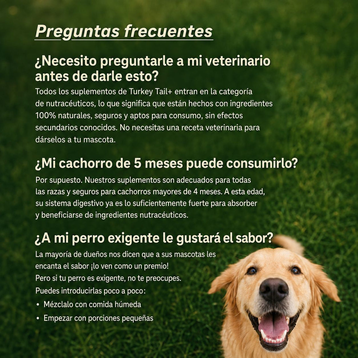 PetLabCo - Probiotic