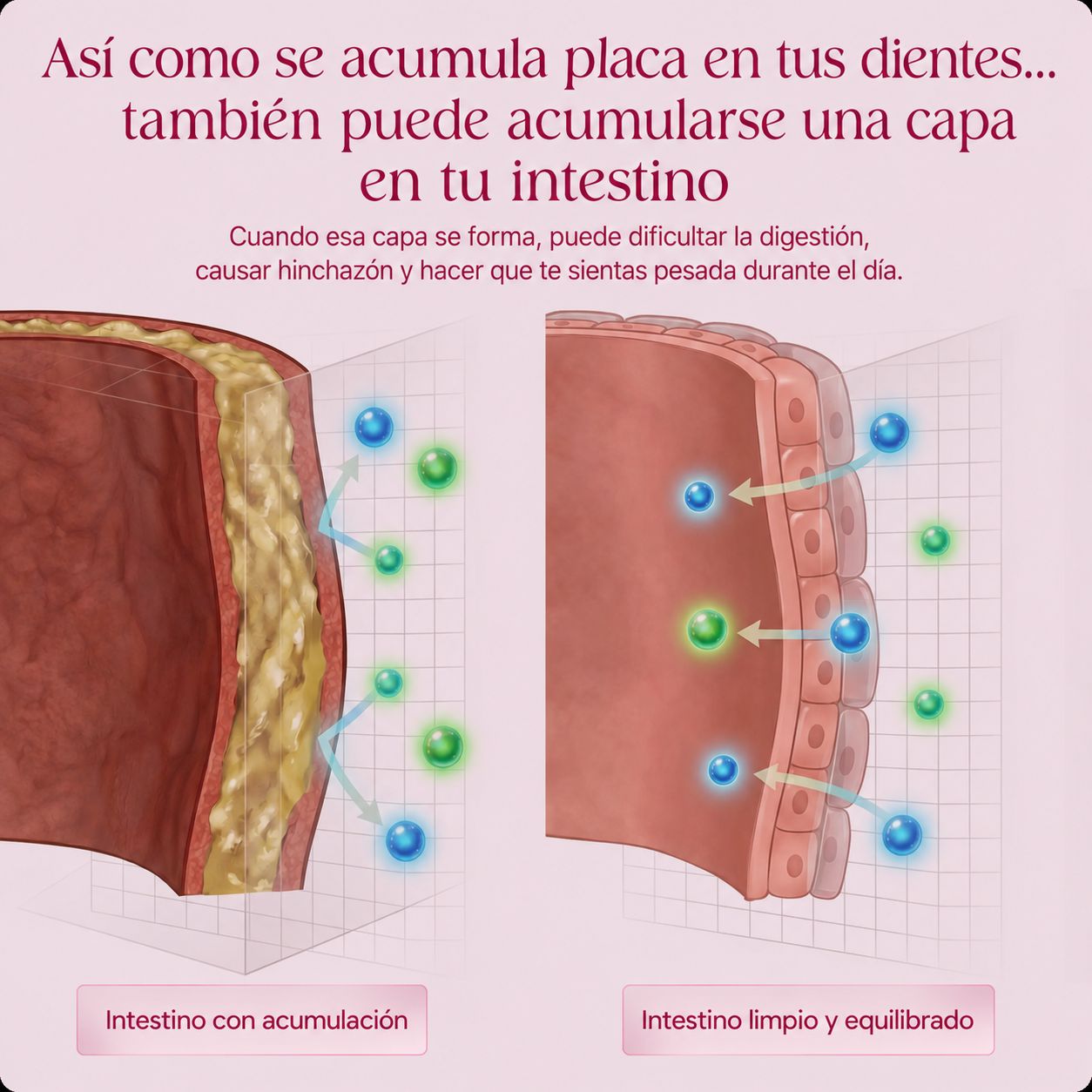 Nuora™ Fórmula Abdomen Ligero