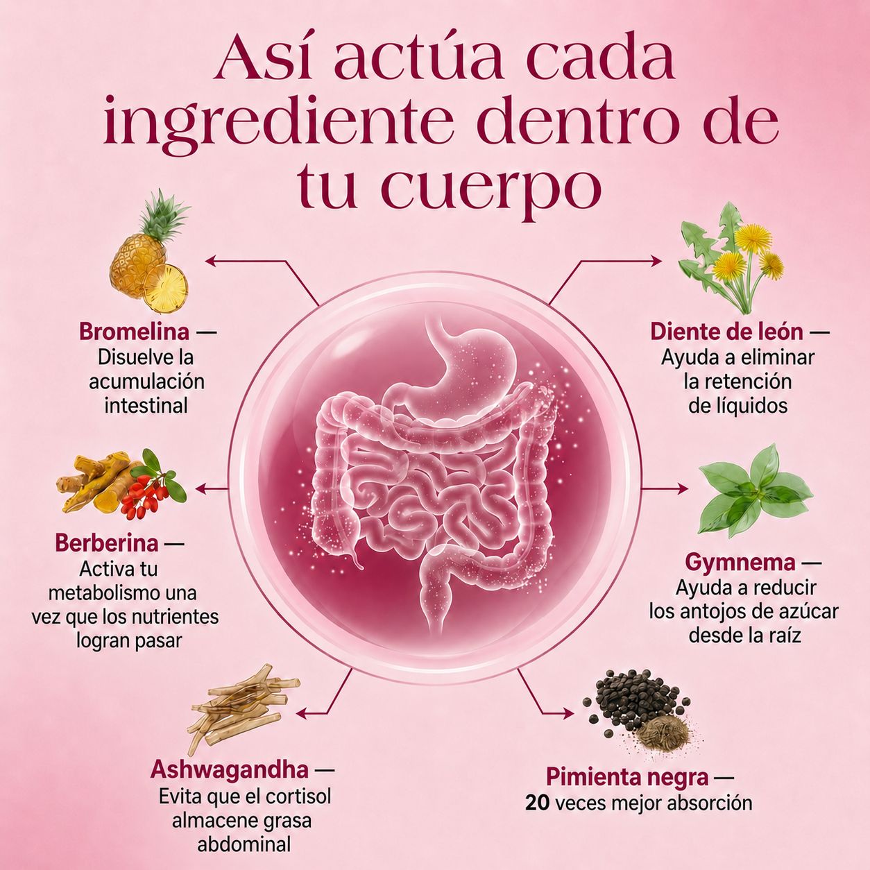 Nuora™ Fórmula Abdomen Ligero
