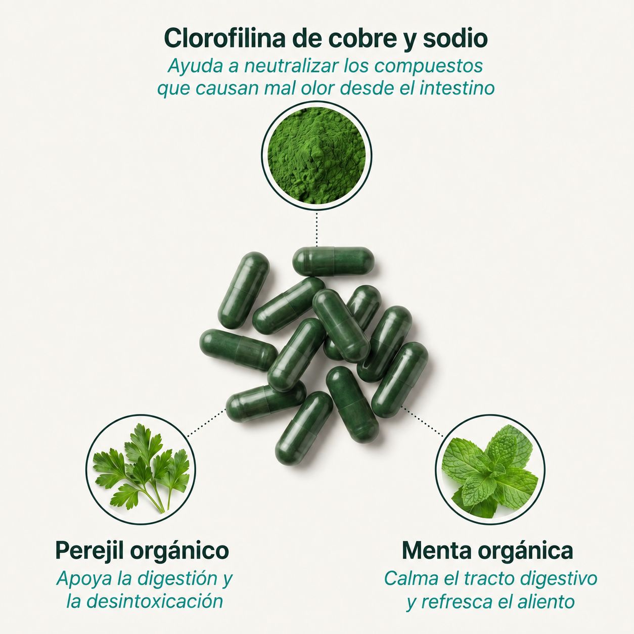 Body Magic Cápsulas Anti-Olor Corporal