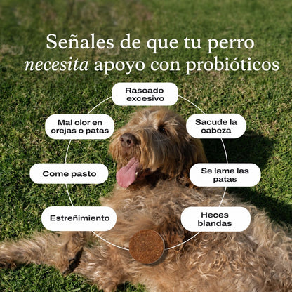 PetLabCo - Probiotic