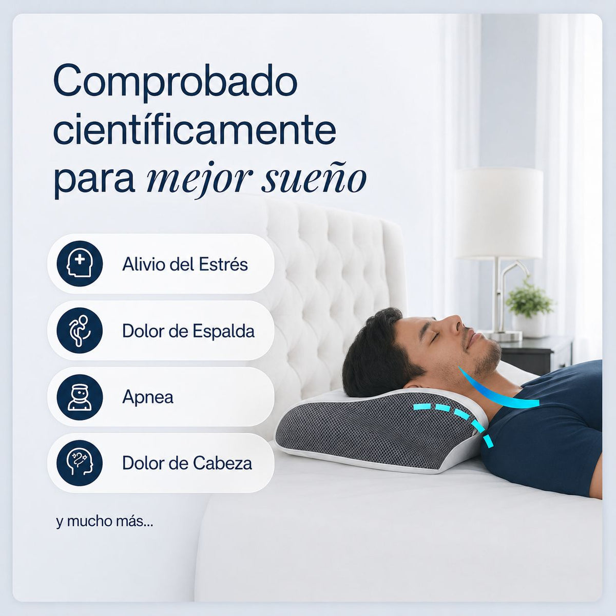 Almohada 244