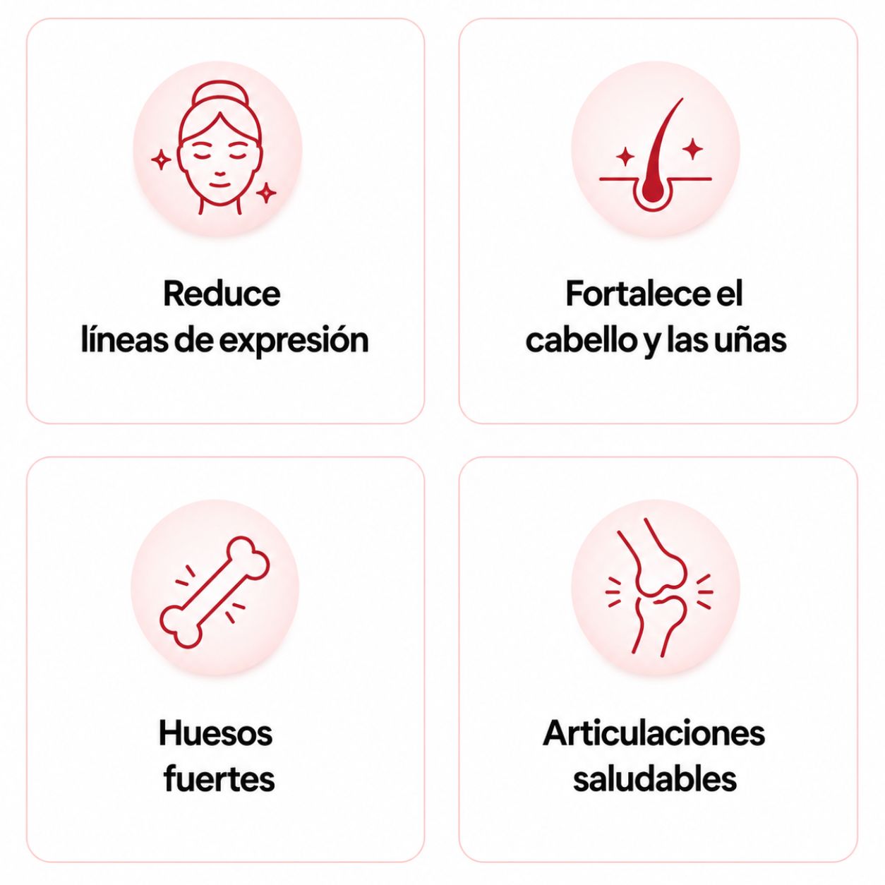 MC infografia simple