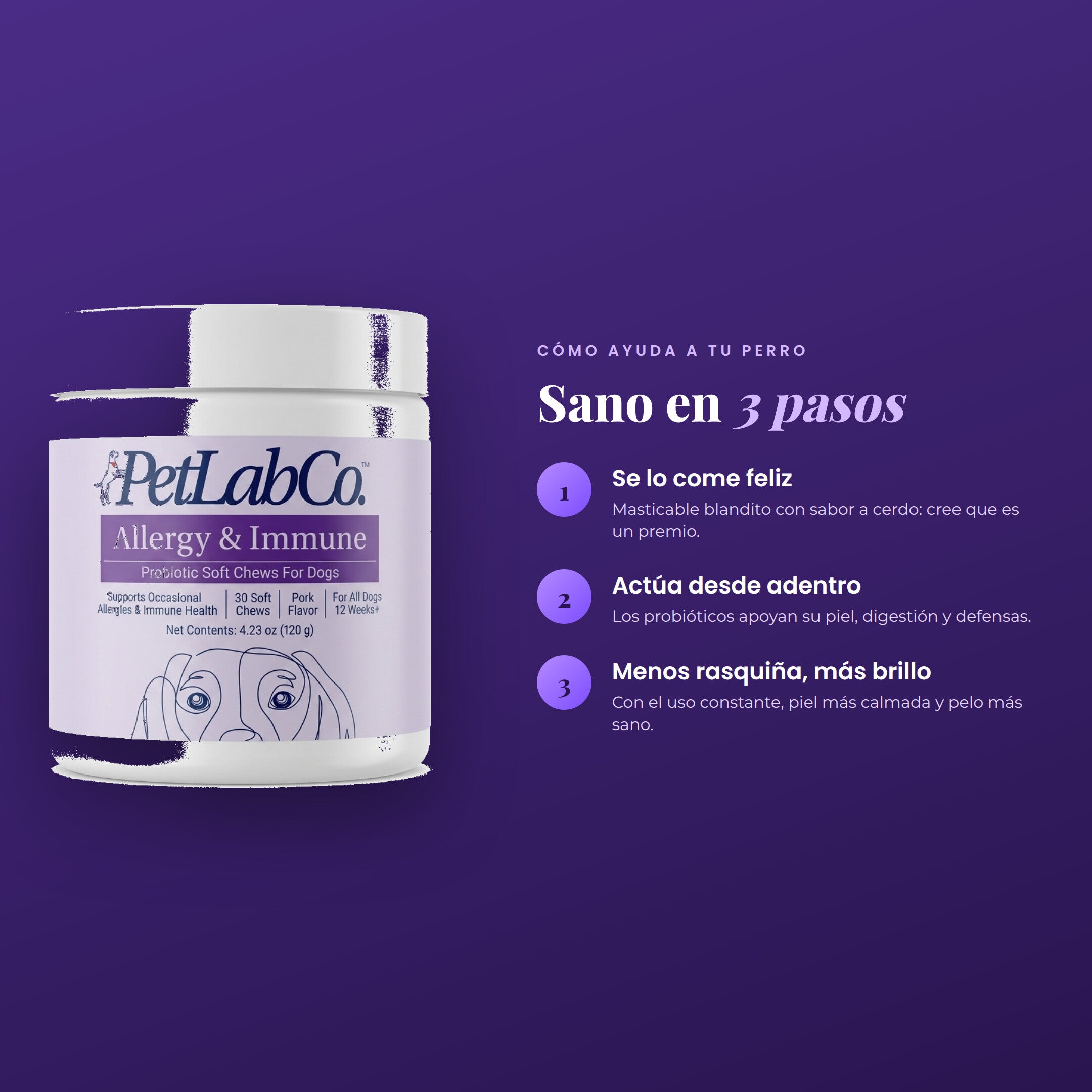 PetLab 3 pasos