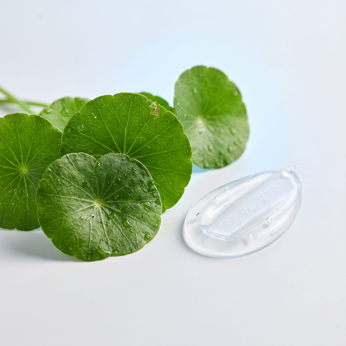 Centella Asiática